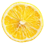 Lemon Slice